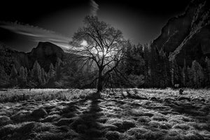 3-piece-canvas-print-the-winter-spirit