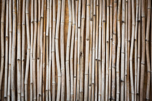 aluminium-print-dried-bamboos