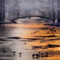 poster-print-frozen-lake-x