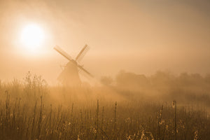 canvas-print-golden-dawn-x