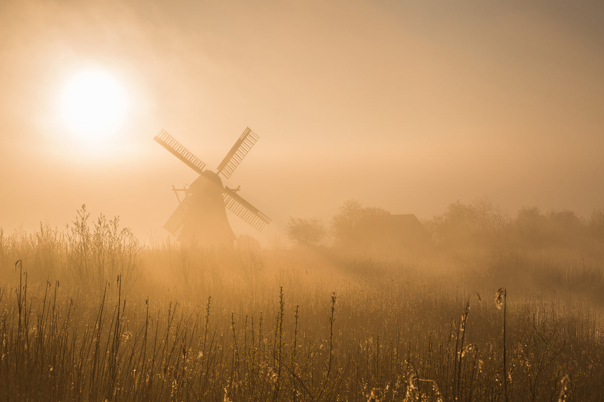 canvas-print-golden-dawn-x