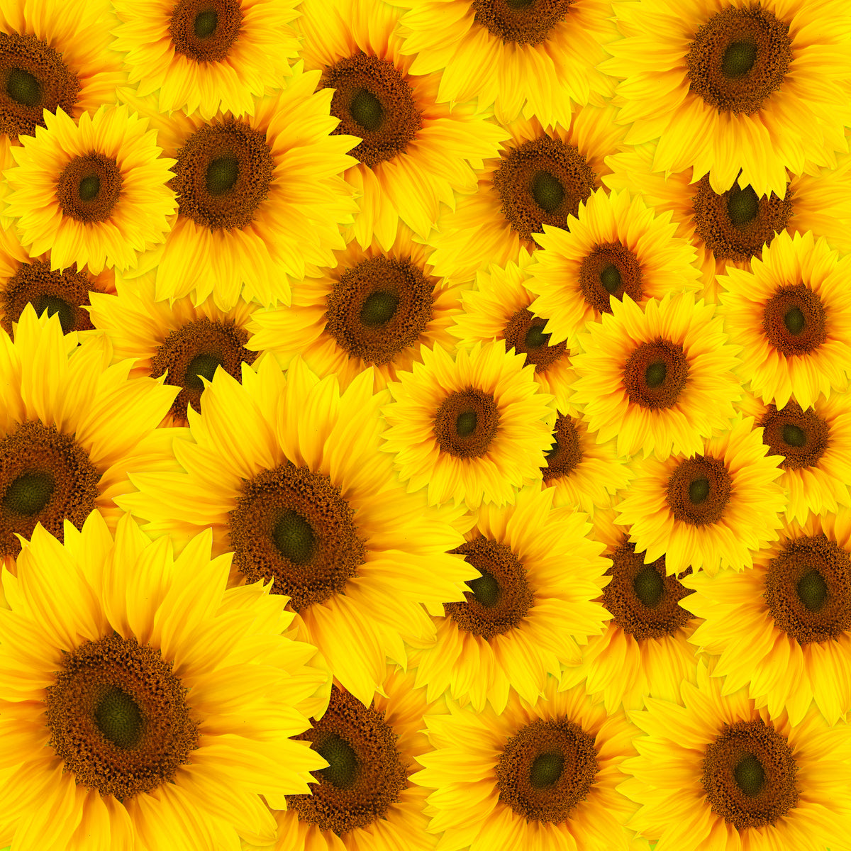 4-piece-canvas-print-a-bouquet-sunflower