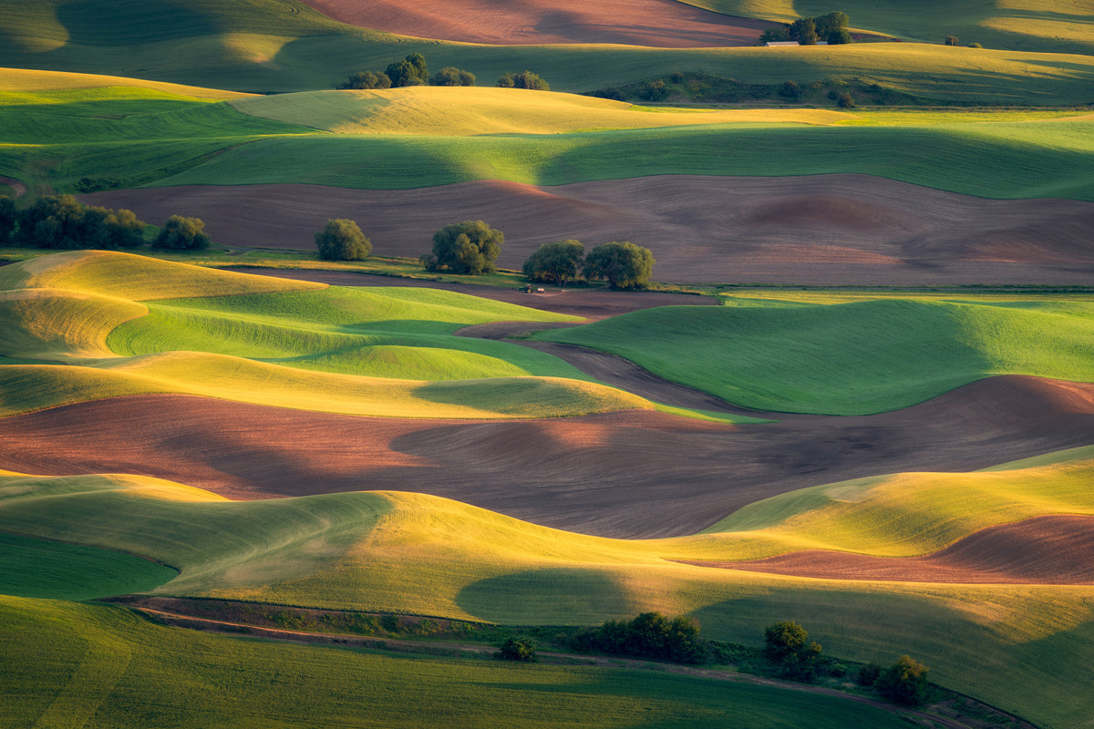 framedcanvas-print-colorful-palouse-x