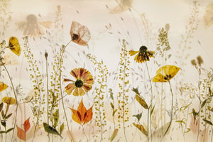 acrylic-print-in-the-field-x
