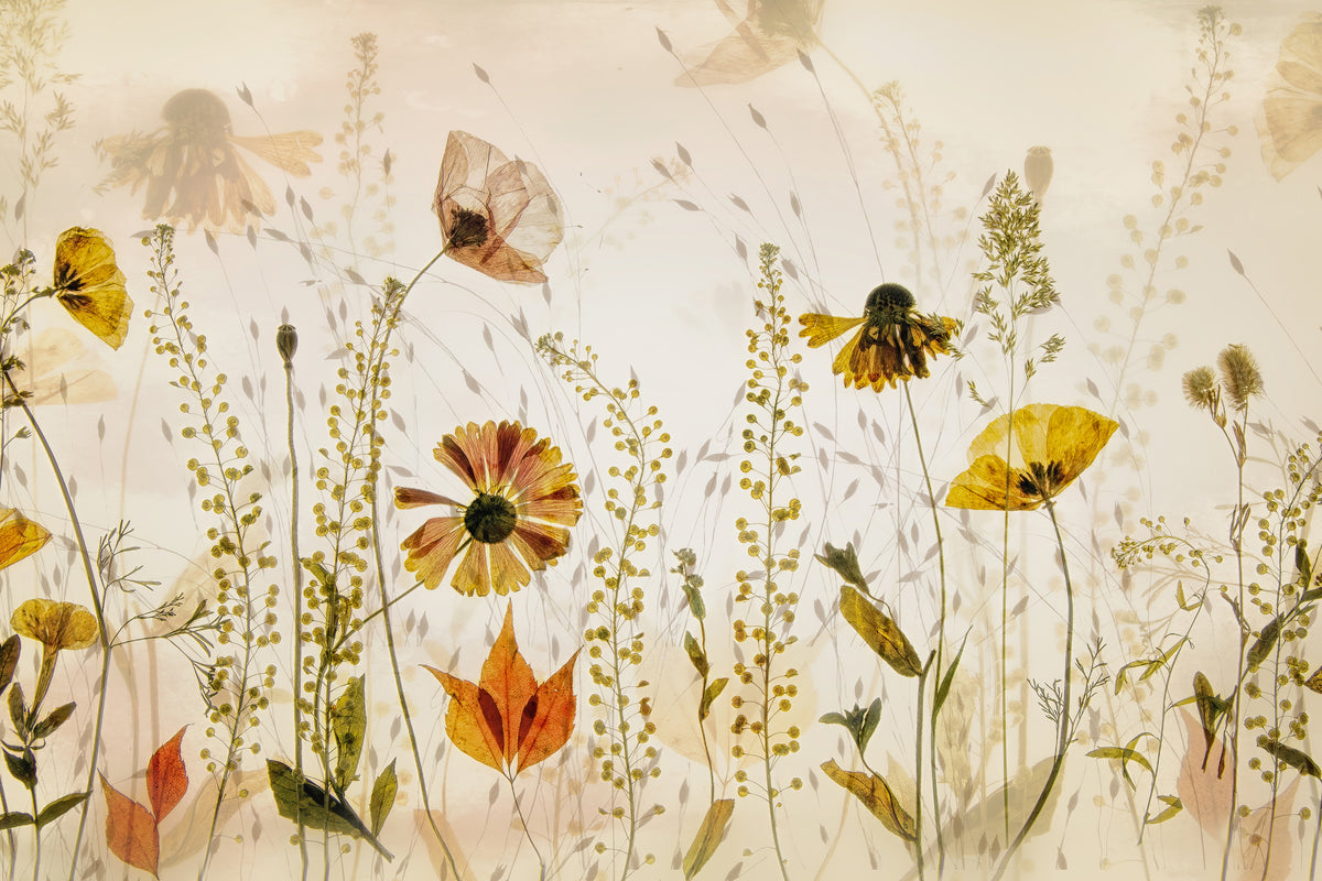 acrylic-print-in-the-field-x