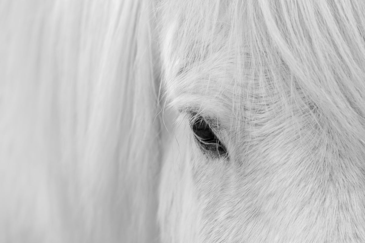 3-piece-canvas-print-whisper-of-iceland