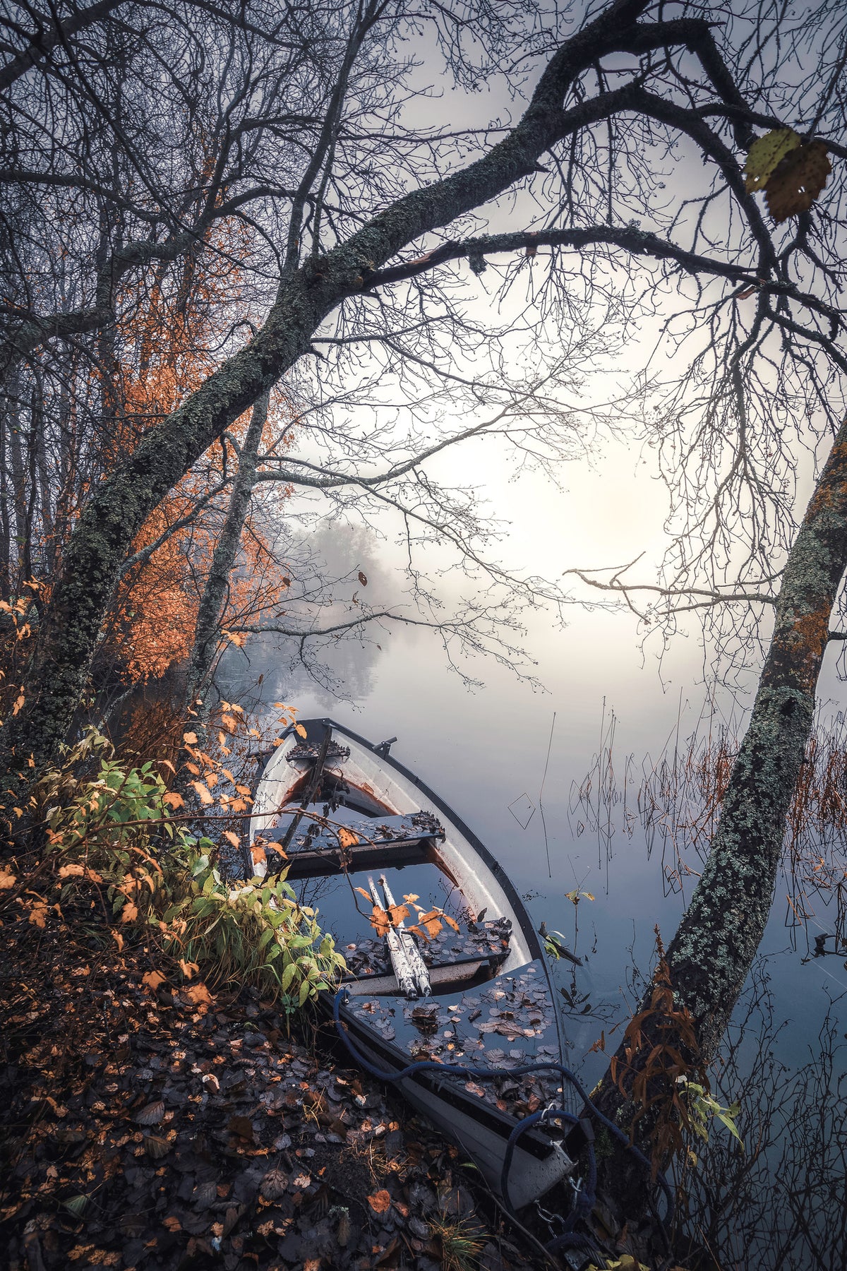 aluminium-print-abandoned-boat-on-the-lake