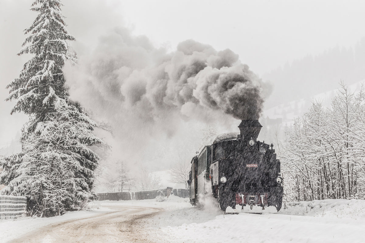 framedcanvas-print-winter-story-x