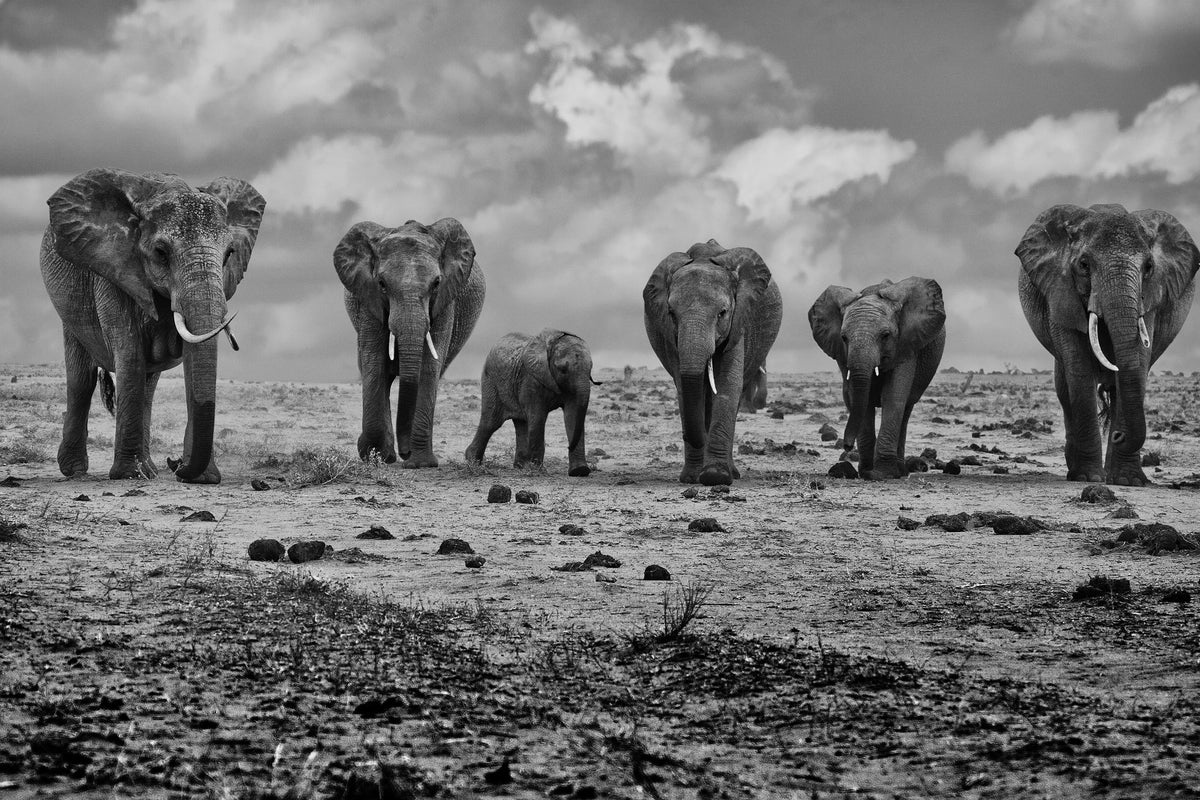 3-piece-canvas-print-big-family