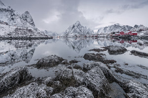 acrylic-print-reine-x