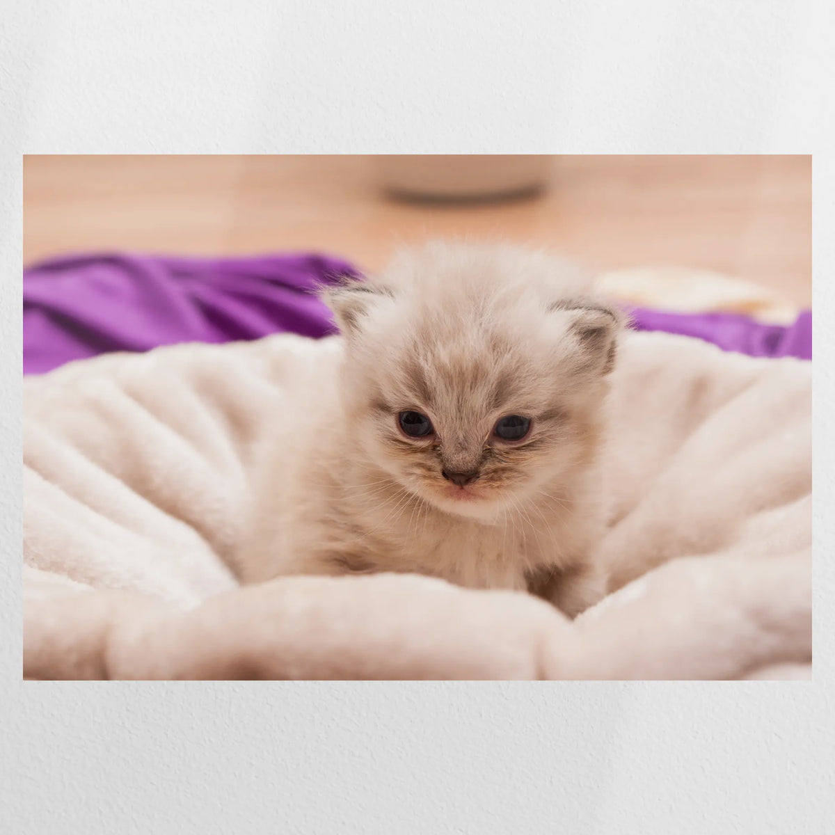 PO-120W080