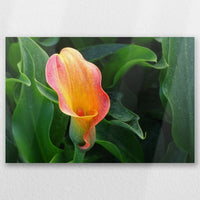 AL-060W040