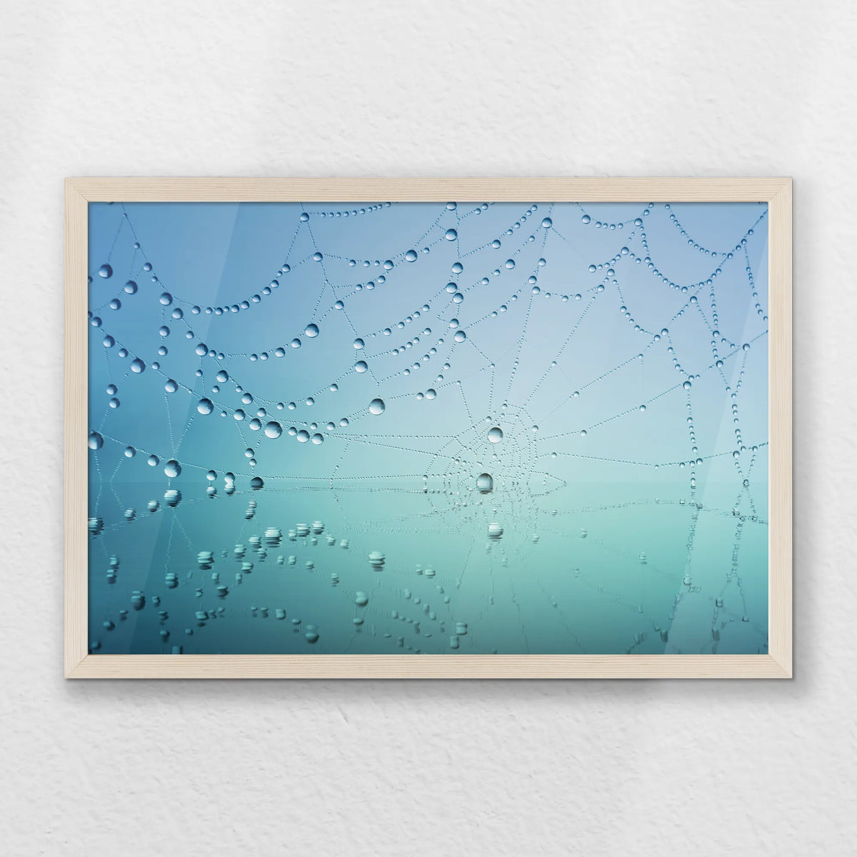 PN-060W040