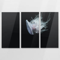 AL-120R080