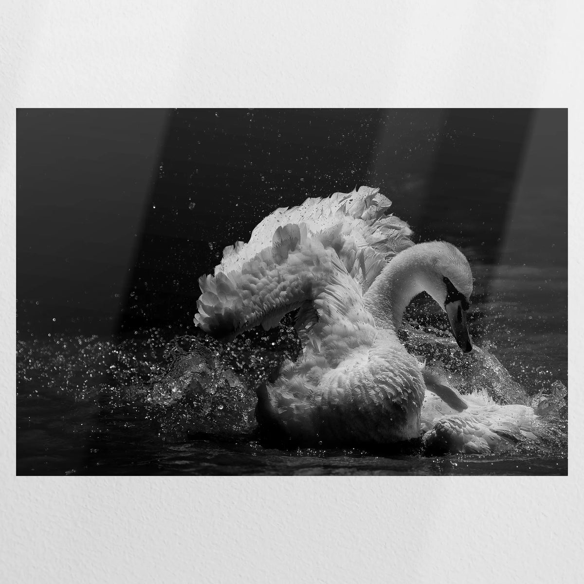 PO-090W060