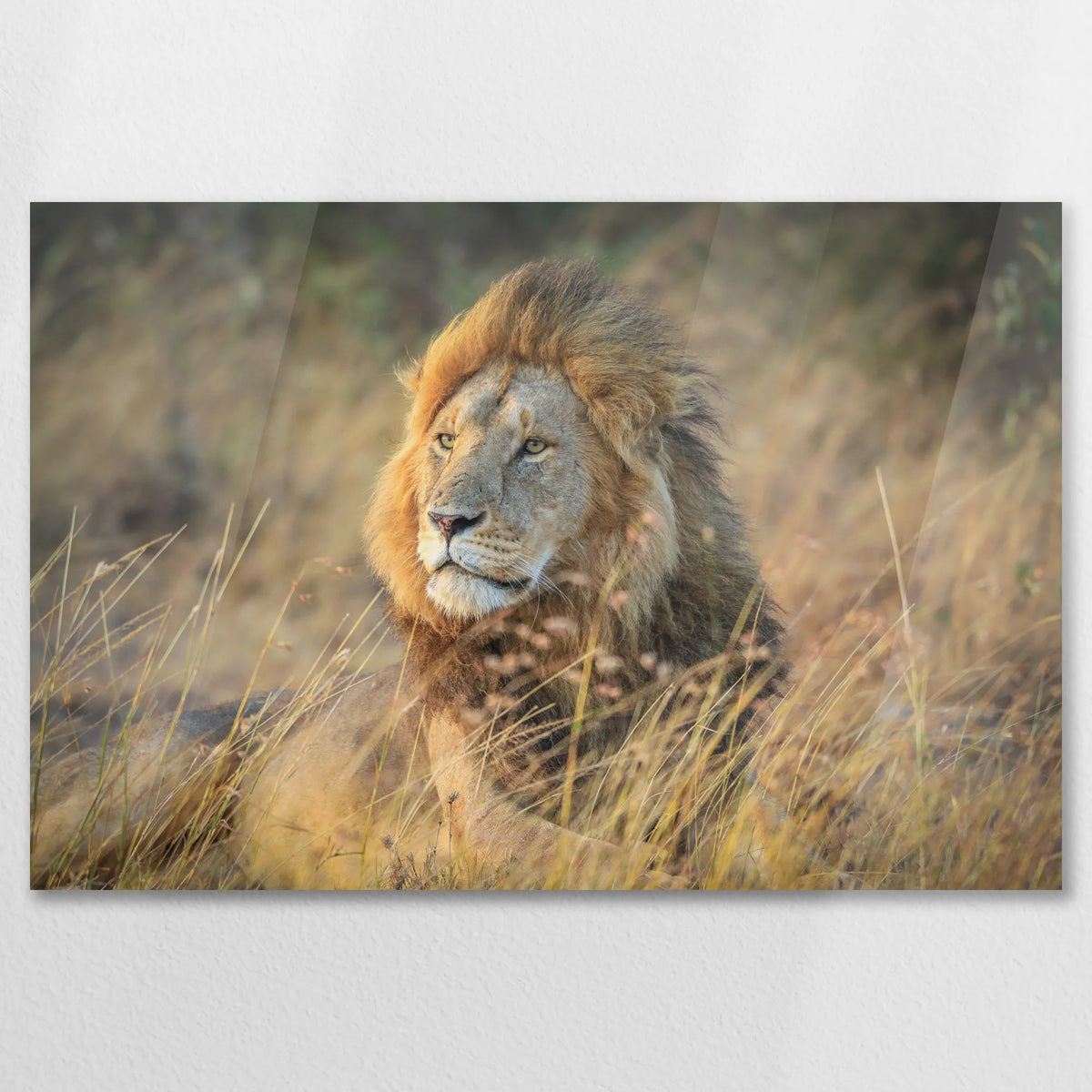 AC-090W060