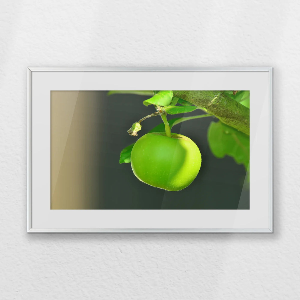 PSP060W040