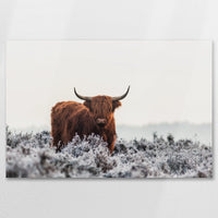 AL-075W050