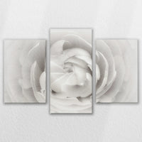 LW-120T080