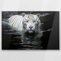 AL-030W020