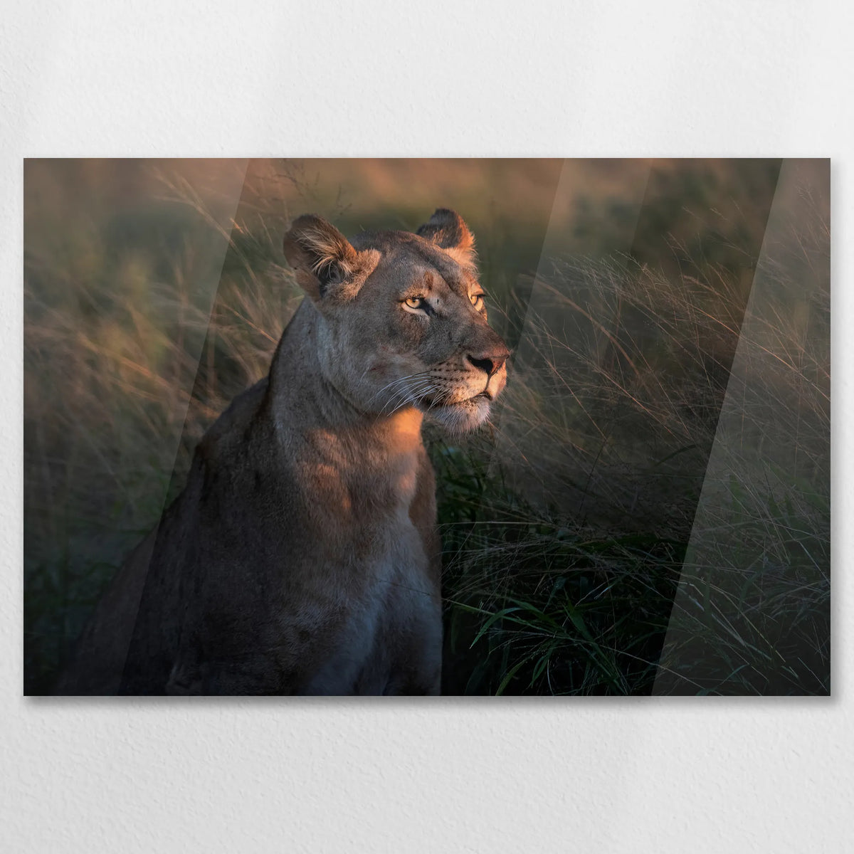 AC-075W050