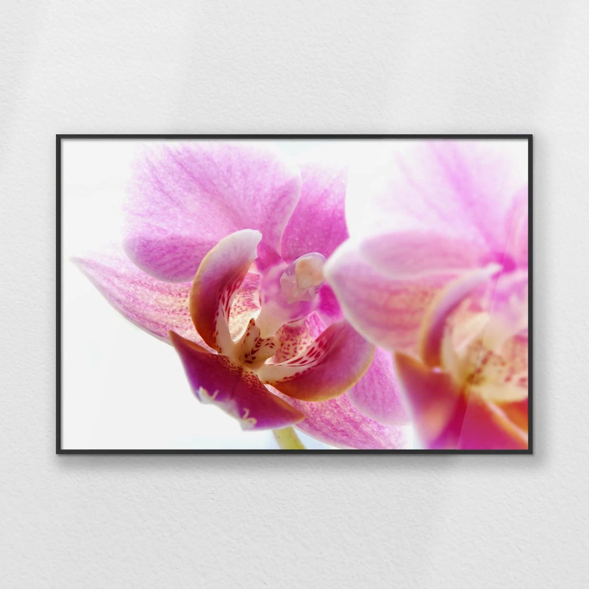 PB-093W062