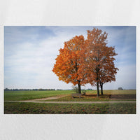 PO-045W030