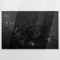 AC-075W050