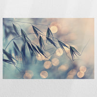 PO-060W040