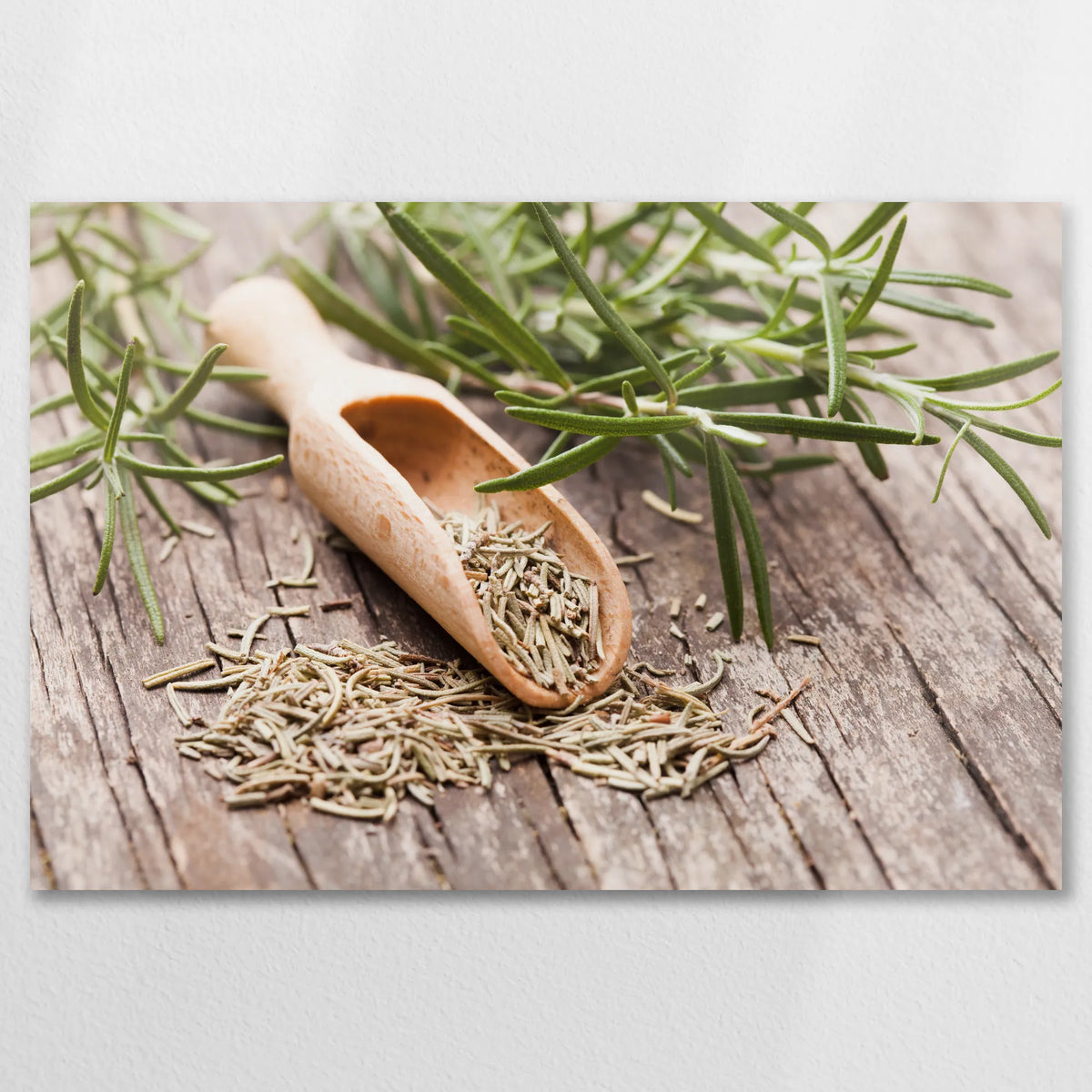 AL-075W050