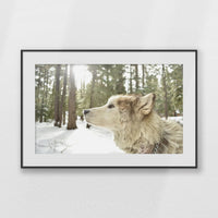 PBP093W062