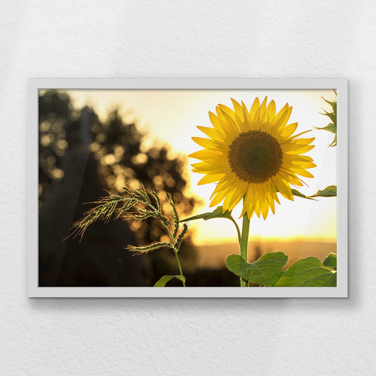 LWW060W040