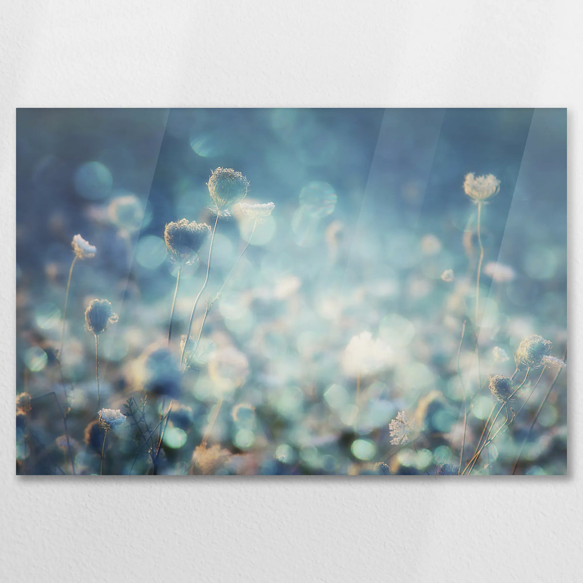 AC-075W050