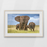 PNP093W062