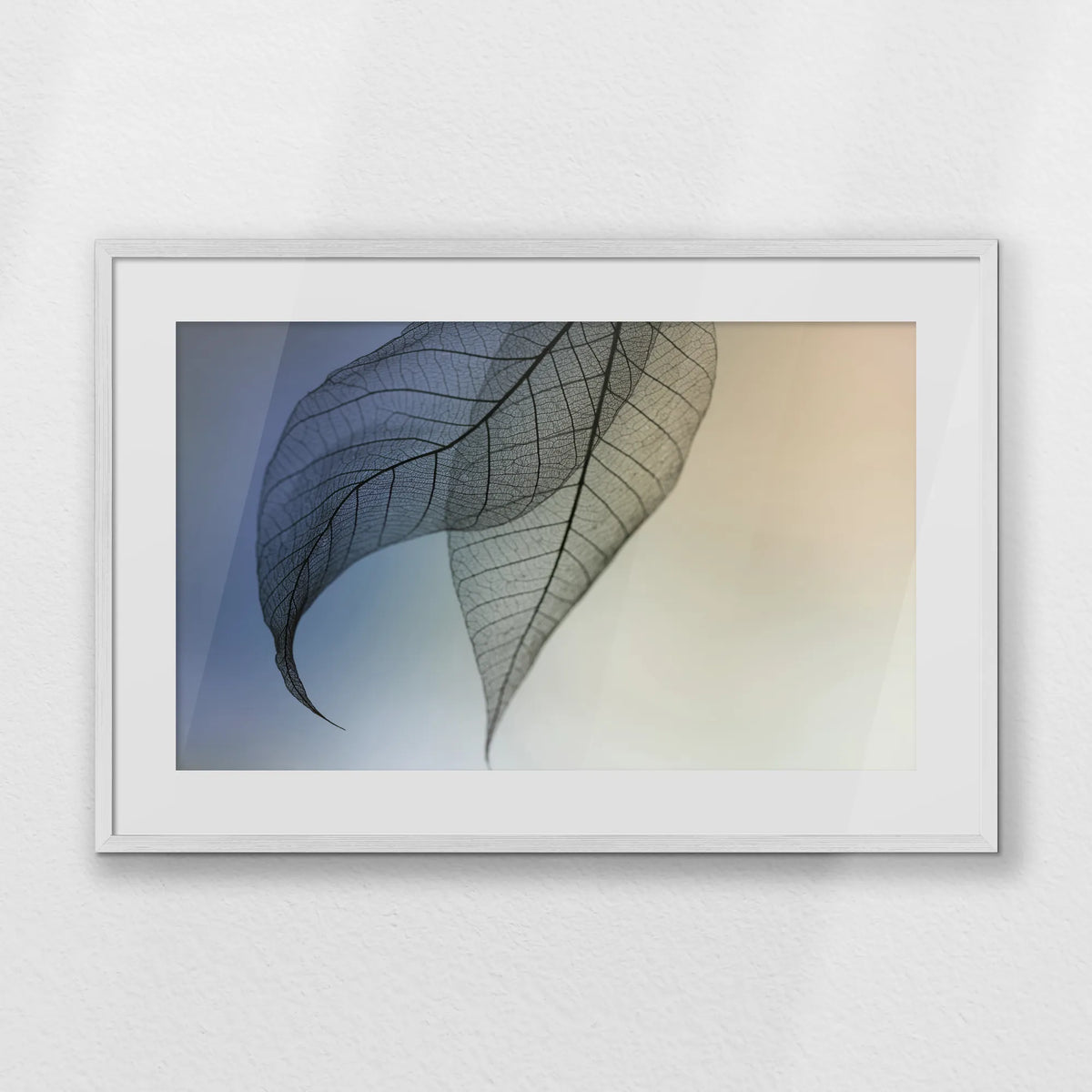 PWP093W062