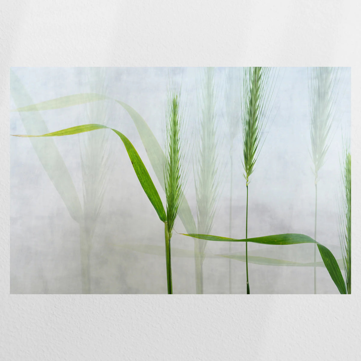 PO-075W050