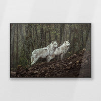 PB-120W080
