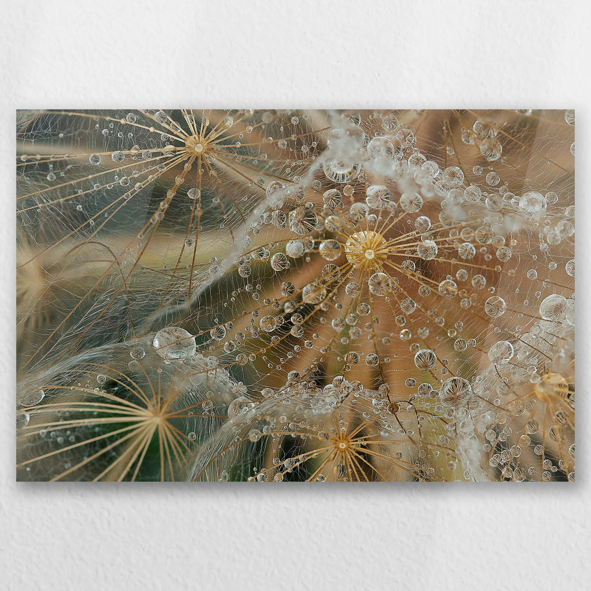 AC-060W040