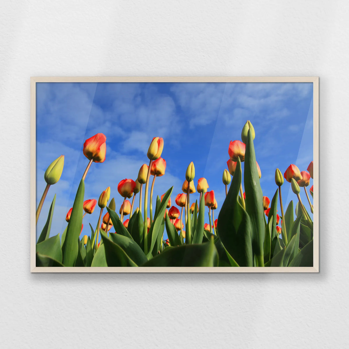PN-093W062