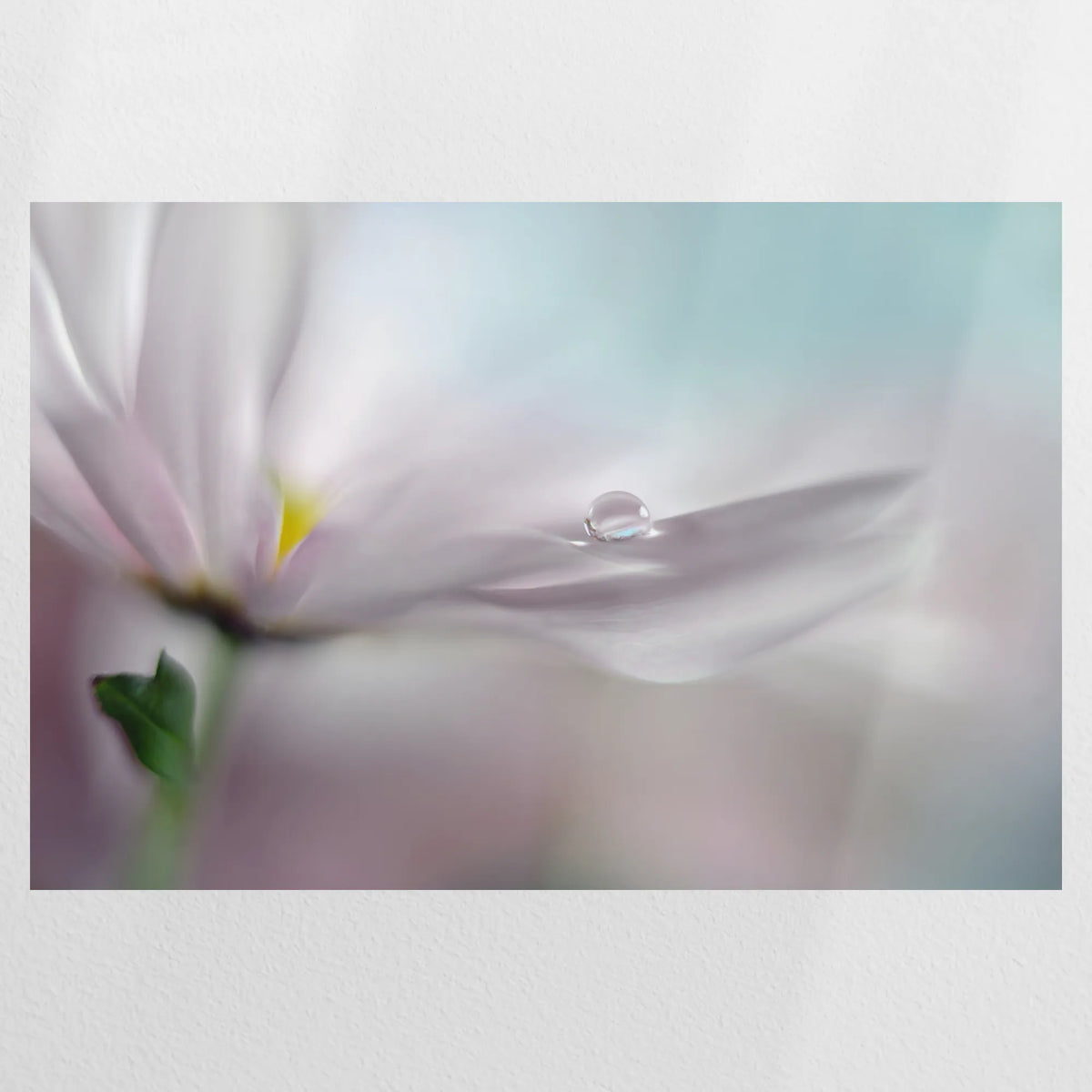 PO-075W050