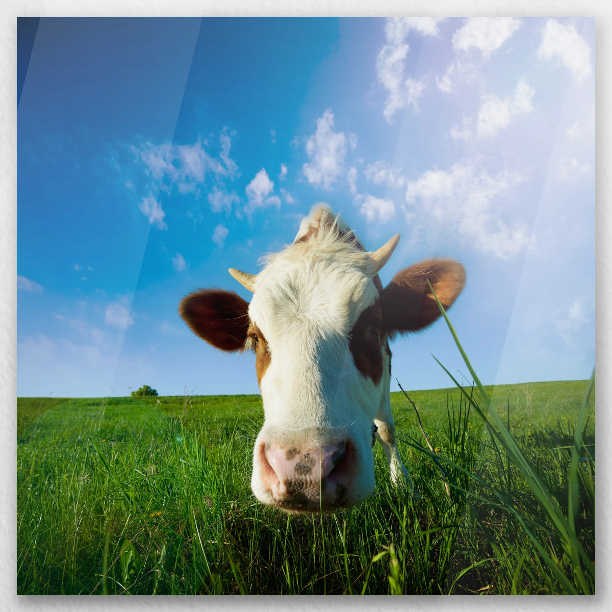 AC-040W040