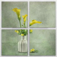 LW-120V120