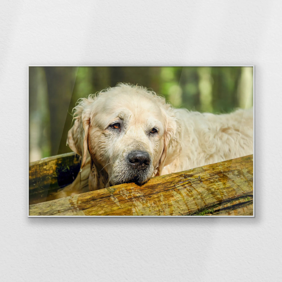 PS-120W080