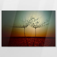 AL-075W050
