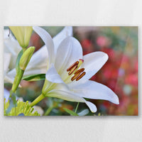 AL-030W020