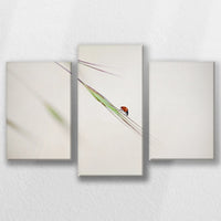 LW-060T040