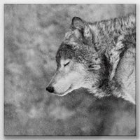 LW-040W040