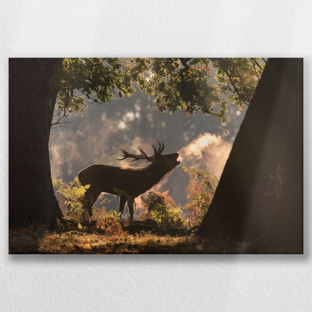 LW-030W020