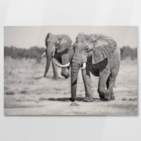 AC-075W050