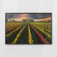 LWN120W080
